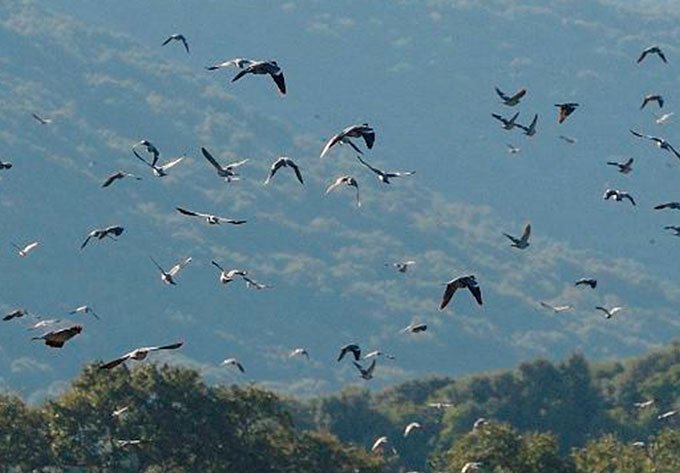 VENTI METRI SOPRA IL PARADISO