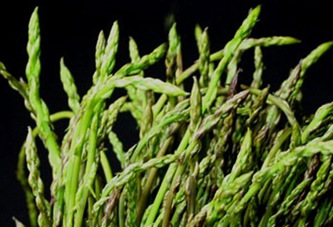 E’ TEMPO D’ASPARAGI