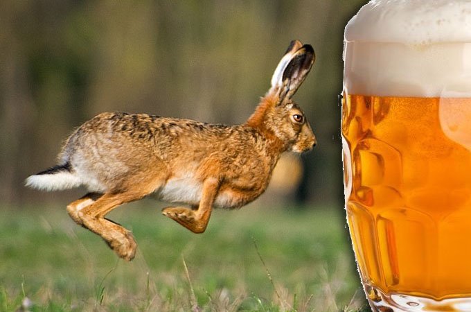 LEPRE ALLA BIRRA