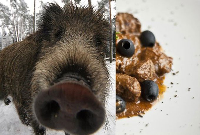 NODINI DI CINGHIALE ALLE OLIVE E CAPPERI