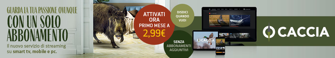 cacciatv
