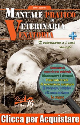 veterinario