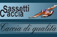 Sassetti caccia