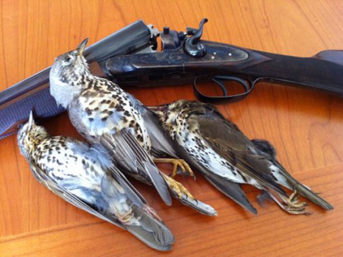Doppietta Beretta Vittoria