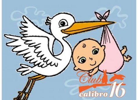 FIOCCO ROSA NEL NOSTRO CLUB