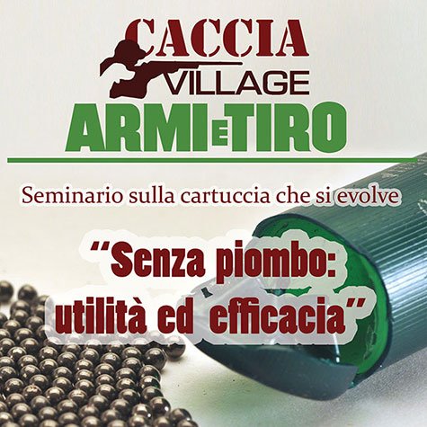 PIOMBO E SENZA PIOMBO: UTILITA’ ED EFFICACIA