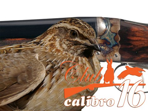 1° TROFEO UMBRO "QUAGLIA IN 16"