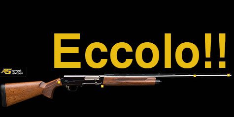 BROWNING: SEMIAUTO CALIBRO 16. ECCOLO!!